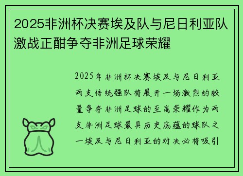 2025非洲杯决赛埃及队与尼日利亚队激战正酣争夺非洲足球荣耀