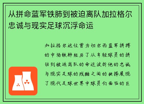 从拼命蓝军铁肺到被迫离队加拉格尔忠诚与现实足球沉浮命运